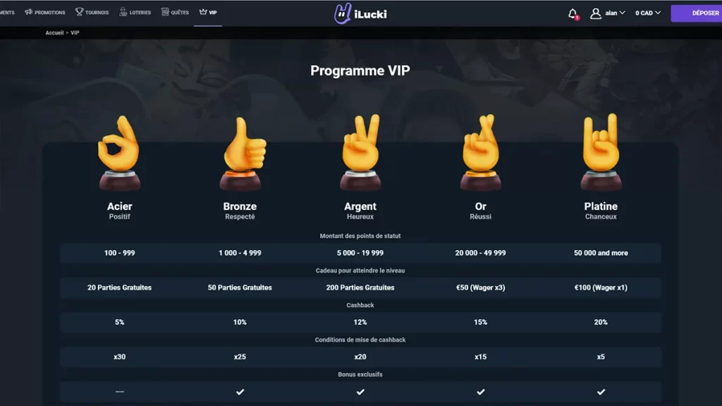 The VIP program